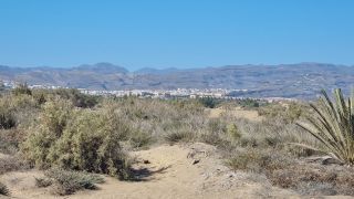 2023-GC-Dunas_Maspalomas-126.jpg